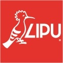 Lipu Oasi